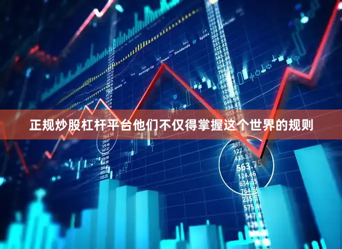 正规炒股杠杆平台他们不仅得掌握这个世界的规则