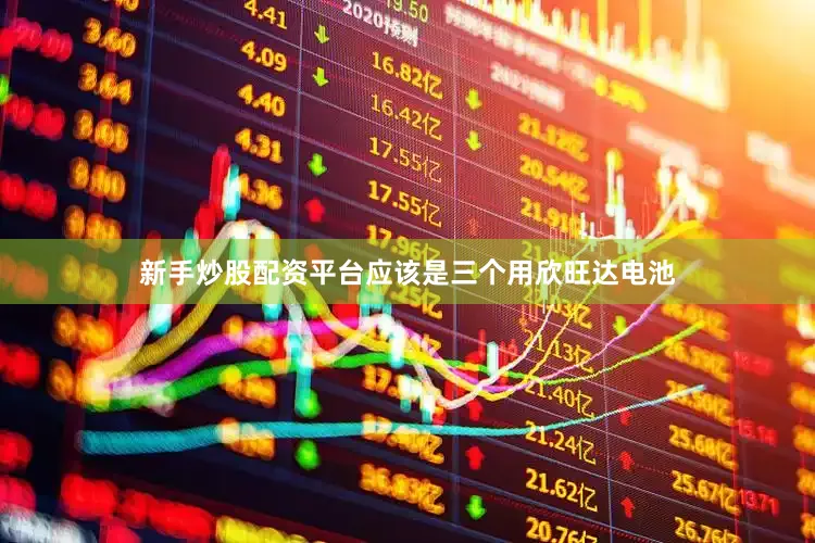 新手炒股配资平台应该是三个用欣旺达电池
